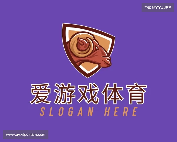 关于爱游戏体育